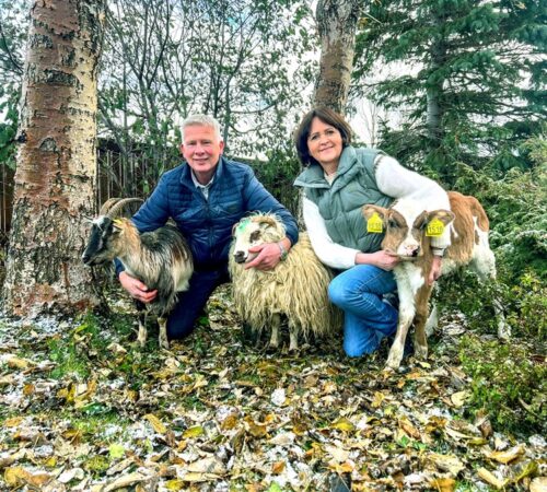 brunastadirforsidajohannesstefaniadyr2